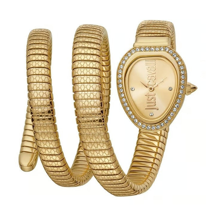 Just Cavalli JC1L163M0025 Women Analog Watch | Silver Stainless Steel Strap | Silver Dial | Quartz
