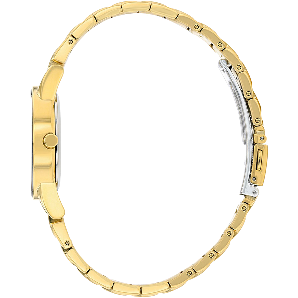 Citizen Axiom Women Eco-Drive Black Dial Analog Stainless Steel Watch GA1052-55E